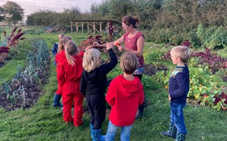 Cultuureducatie Zeeuws-Vlaanderen, talentontwikkeling