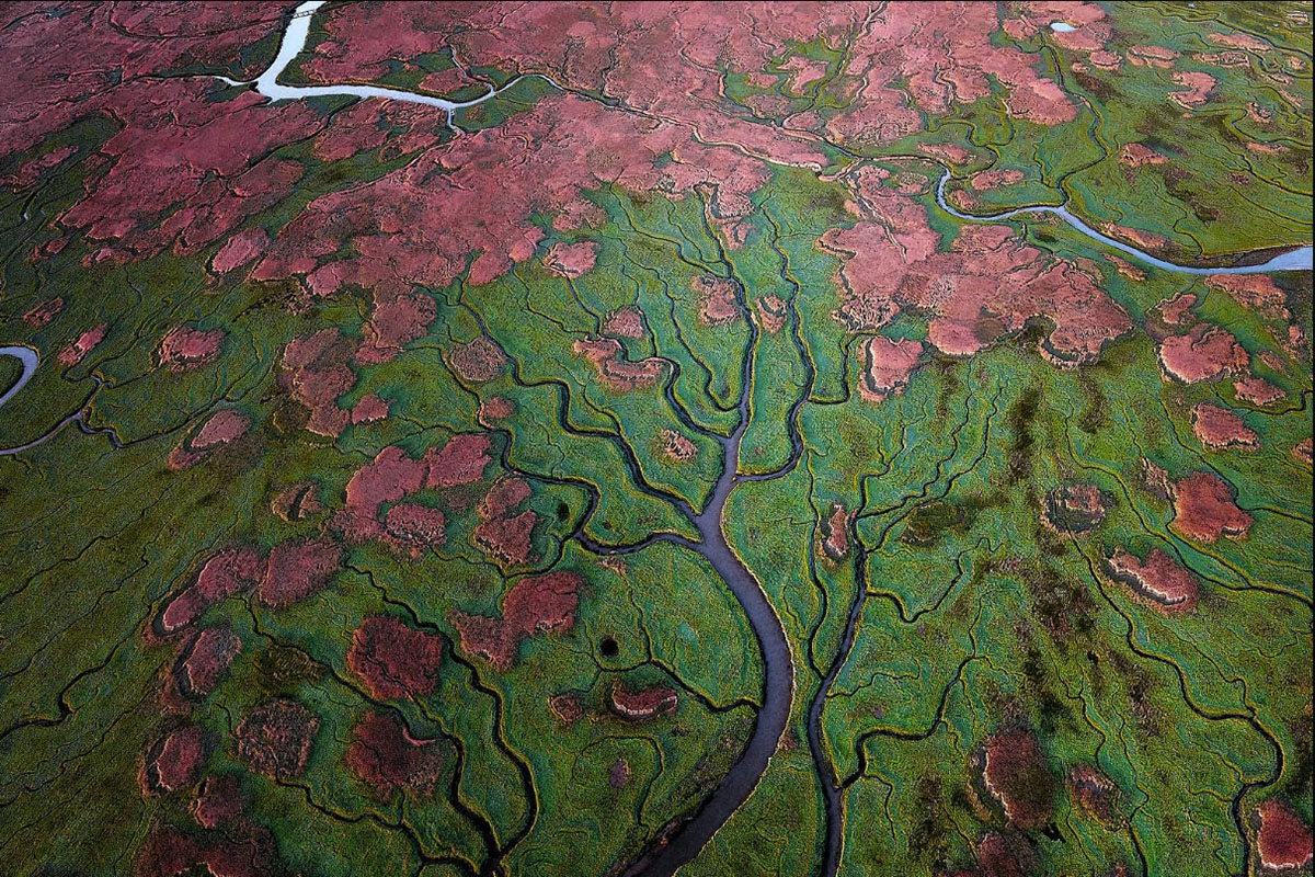 The Verdronken Land of Saeftinghe from above