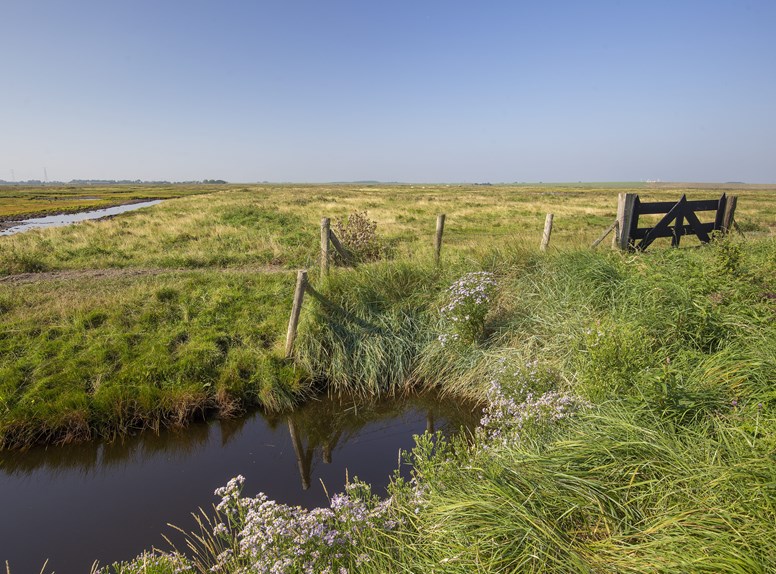 Yerseke moer, Het Zeeuwse Landschap