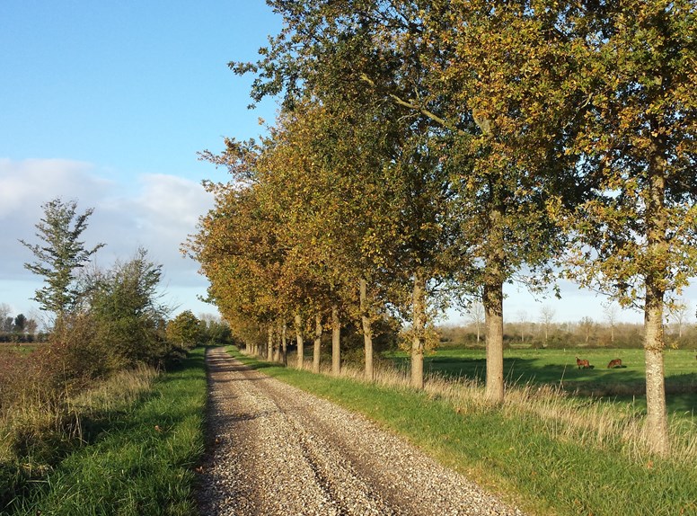 Koedijkeikenfietsen ZwaakseWeel Natuurmonumenten