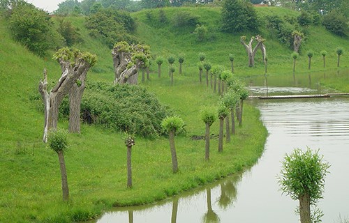 retranchement ommetje