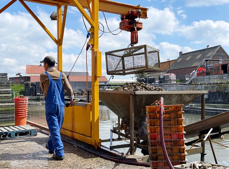 yerseke oesterputten werk