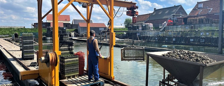 oesterputten werken