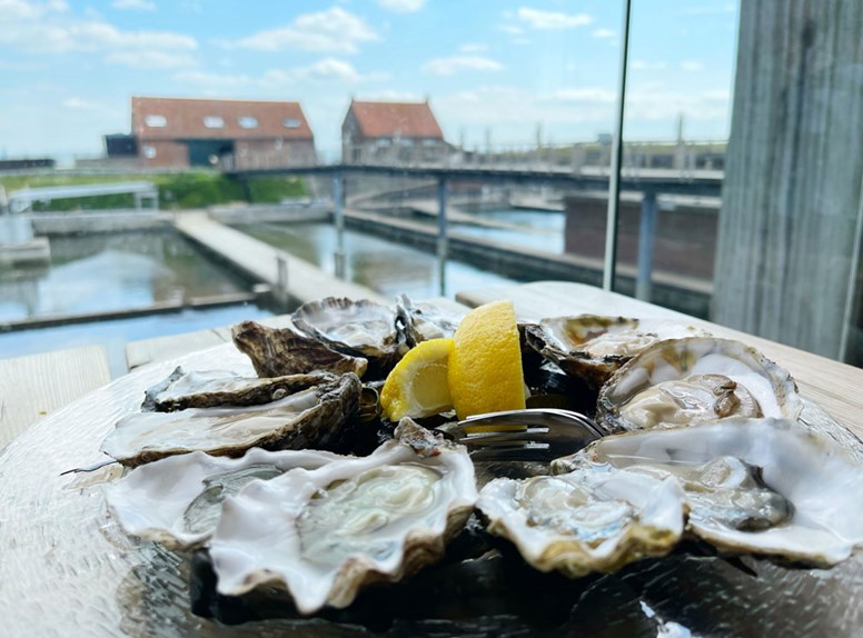 oesters oesterputten