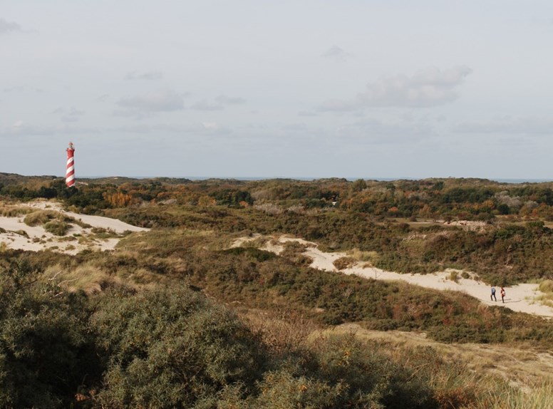 Must-sees in Burgh-Haamstede