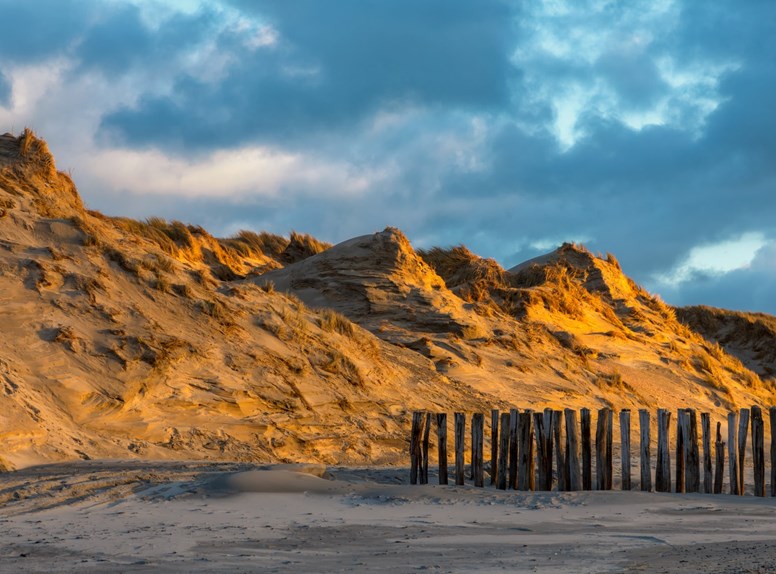 duinen herfst