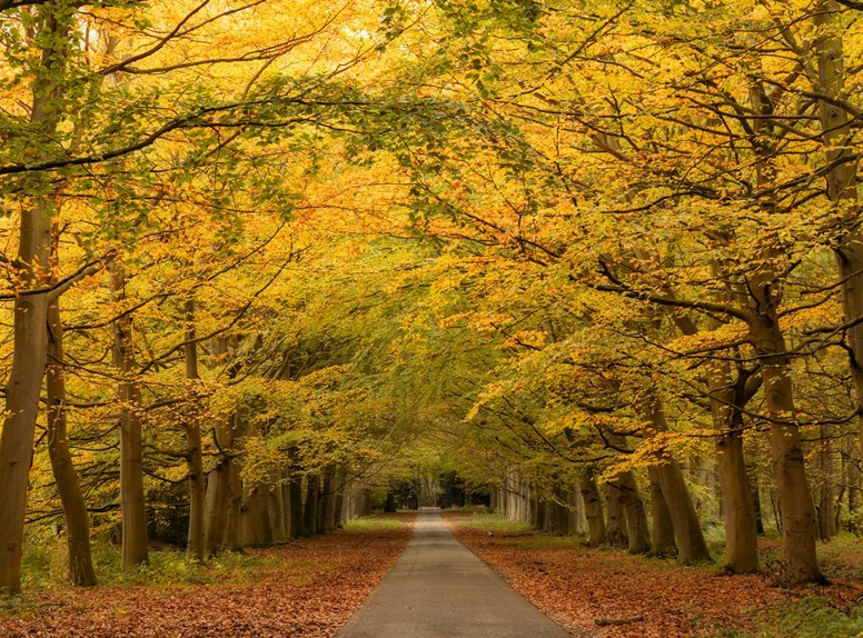 herbst in zeeland