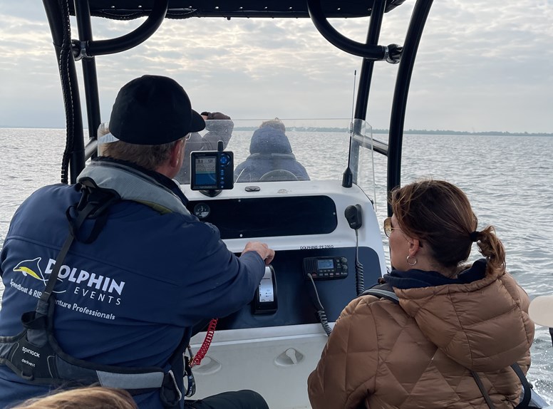Bruinvissen kun je spotten vlak bij Zierikzee in de Oosterschelde