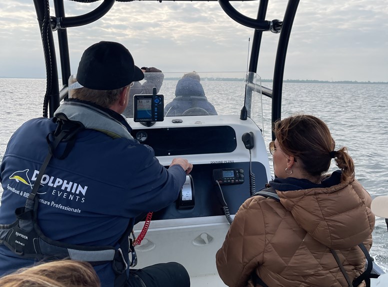 Op zeehondensafari in Zeeland