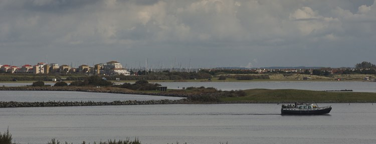 Landschap Zeeland bij de Grevelingen