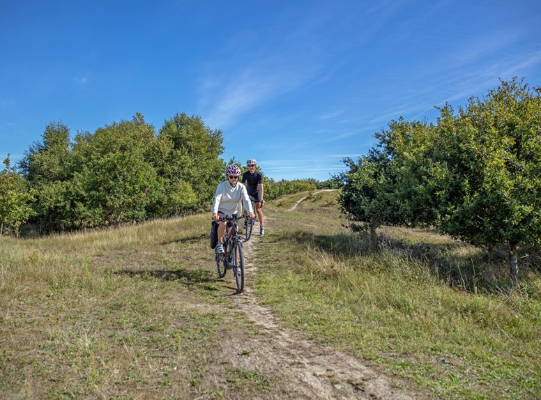 mountainbiken westerschouwen