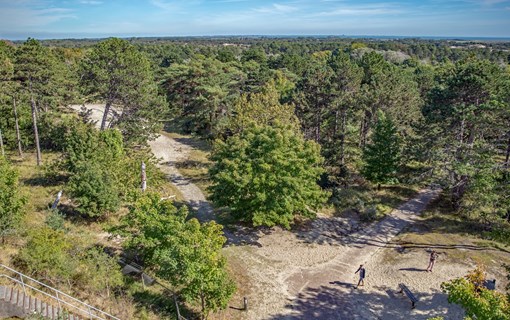 uitzicht boswachterij westerschouwen