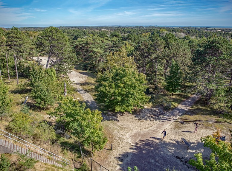 Bossen in Zeeland