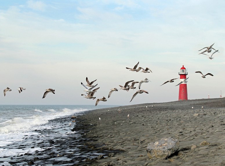 Vuurtoren Westkapelle
