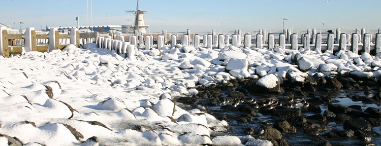 Winter in Zeeland