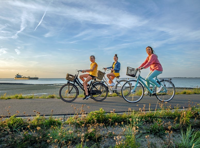 Fietsen op de dijk in Zeeland
