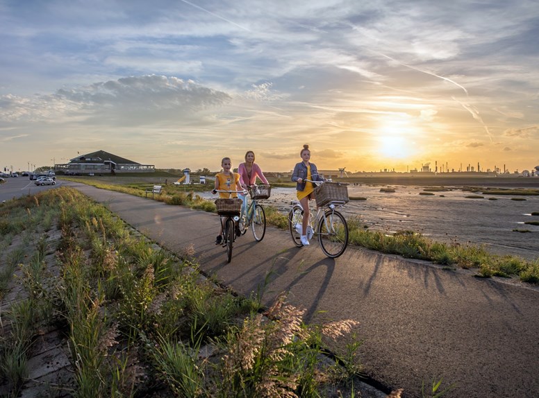 Terneuzen sunset cyclists
