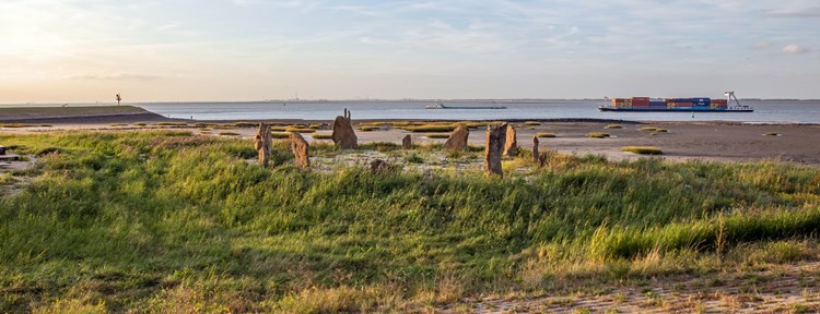 terneuzen dijk uitzicht