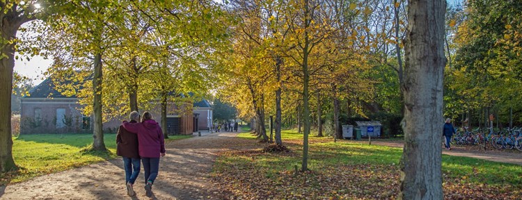 Ein Paar beim Spaziergang durch den Wald