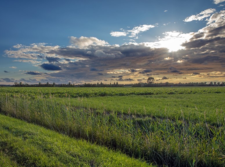 Natur in Zeeland