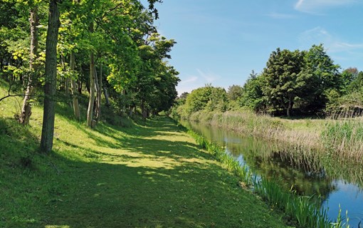 Oranjezon gras water natuur 2