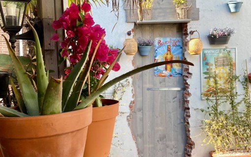 terneuzen hotspots zeeuws vlaanderen