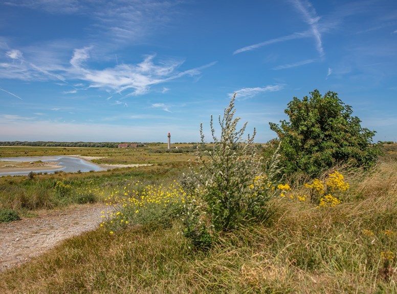 Radartoren Zwarte Polder Cadzand