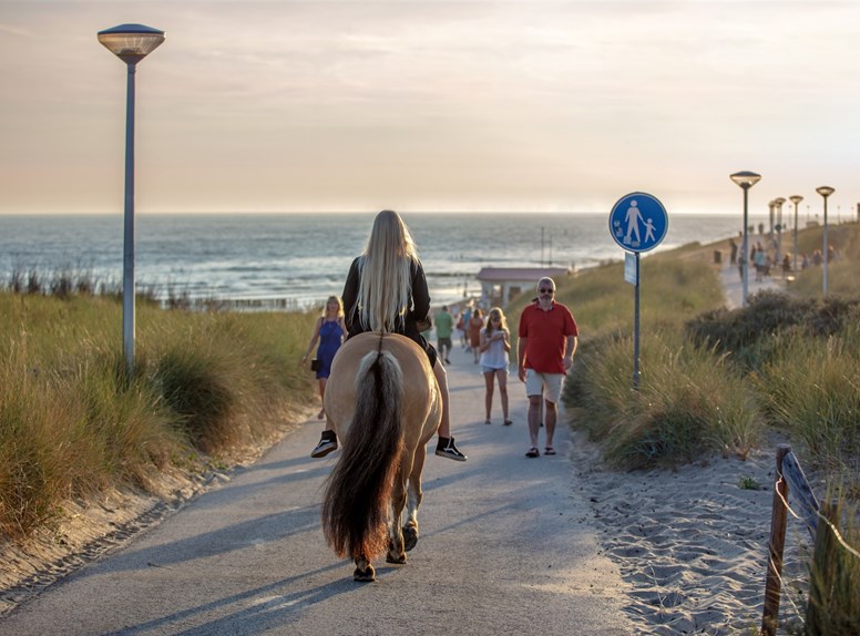 Zoutelande Paardrijden