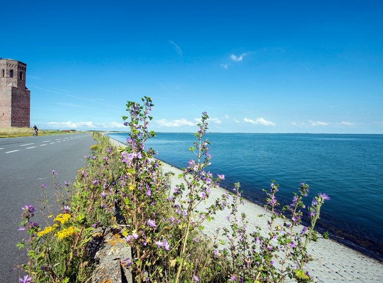 Fietspad, fietsen op Schouwen-Duiveland