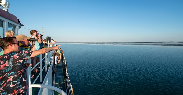 Schiffsrundfahrten in Zeeland