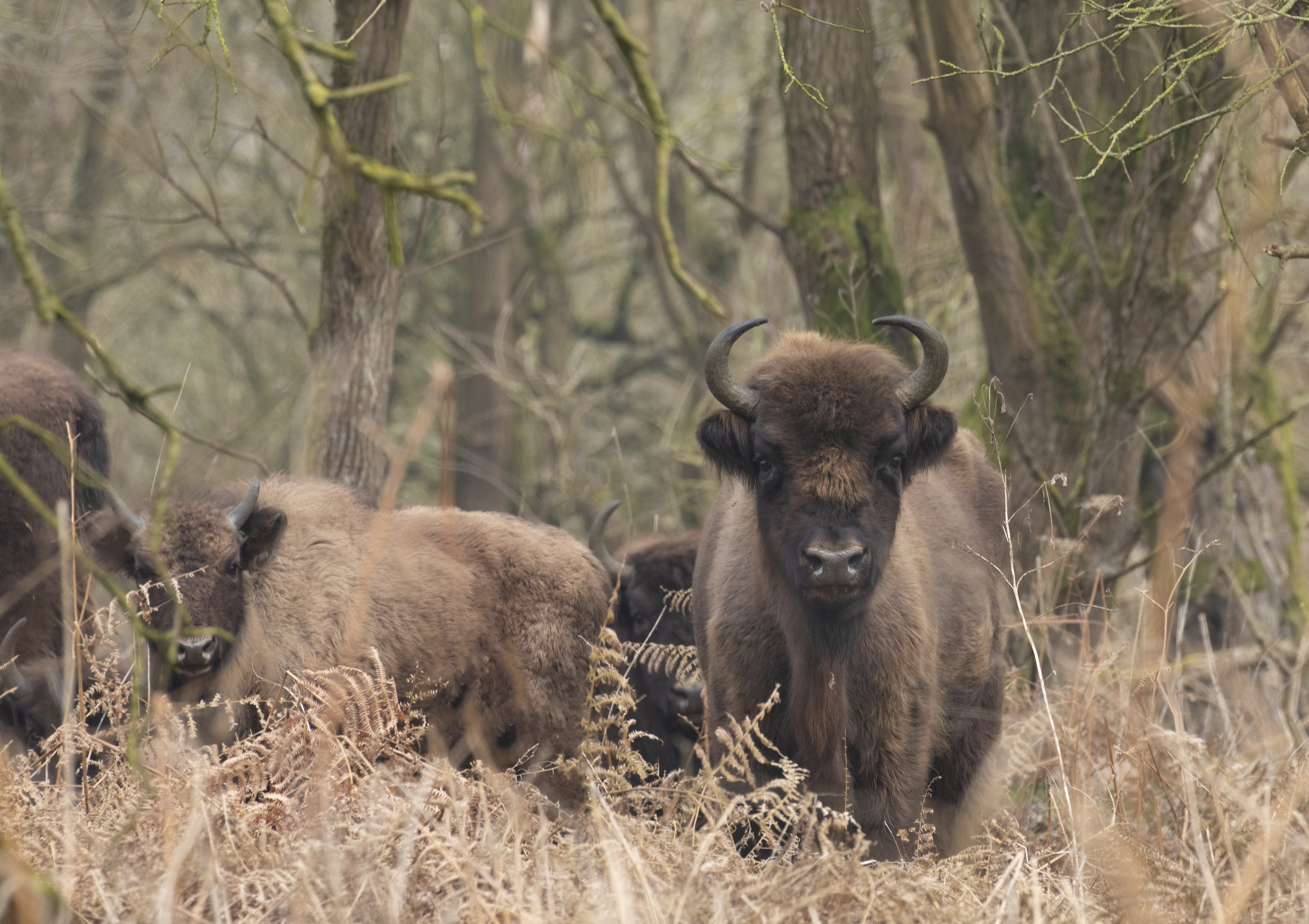 Altijd open voor iets bizonders