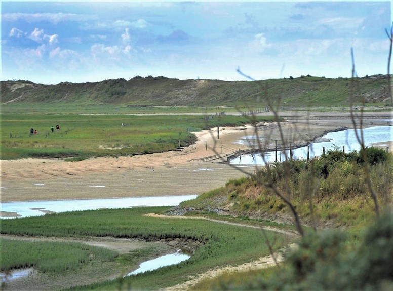 Nature reserve Het Zwin