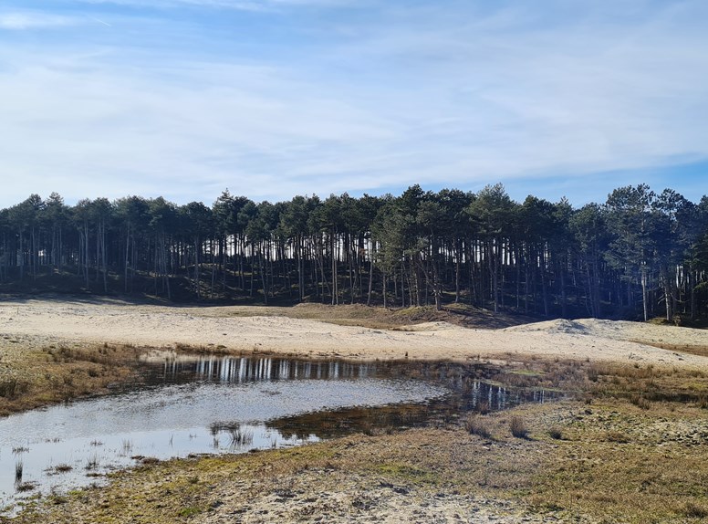 Oranjezon