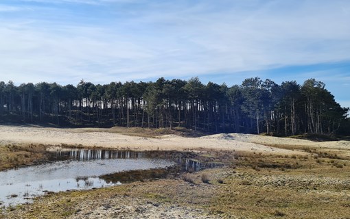 Zeeland natuur, duidelijk in het Land van Saeftinghe