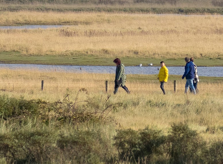 Ommetjes in Zeeland