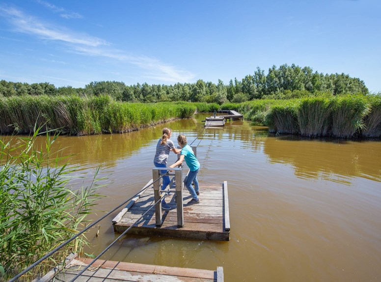 Trekvlot Zeeland natuur activiteit kinderen