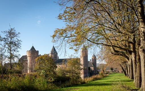 Zeeland natuur, duidelijk in het Land van Saeftinghe