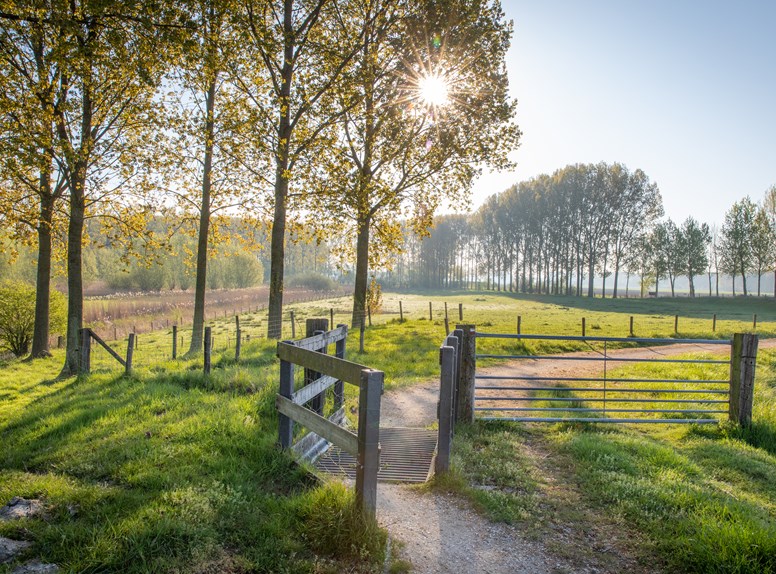 Staats-Spaanse Linies