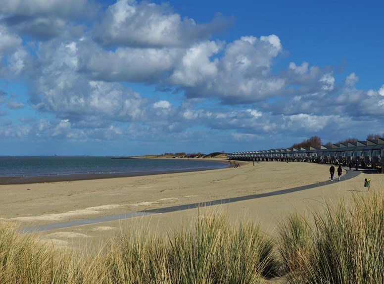 slaaphuisjes roompot strand overnachten
