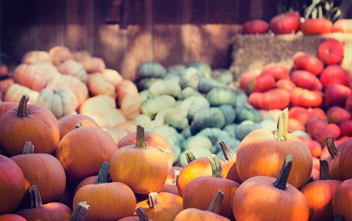 herfst sfeer pompoenen