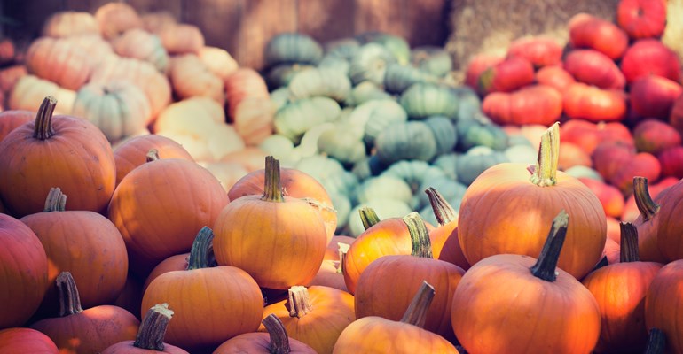 Van stoere brouwerijen tot indrukwekkende musea en skihallen. De 10 leukste herfstuitjes in Zeeland lees je hier!