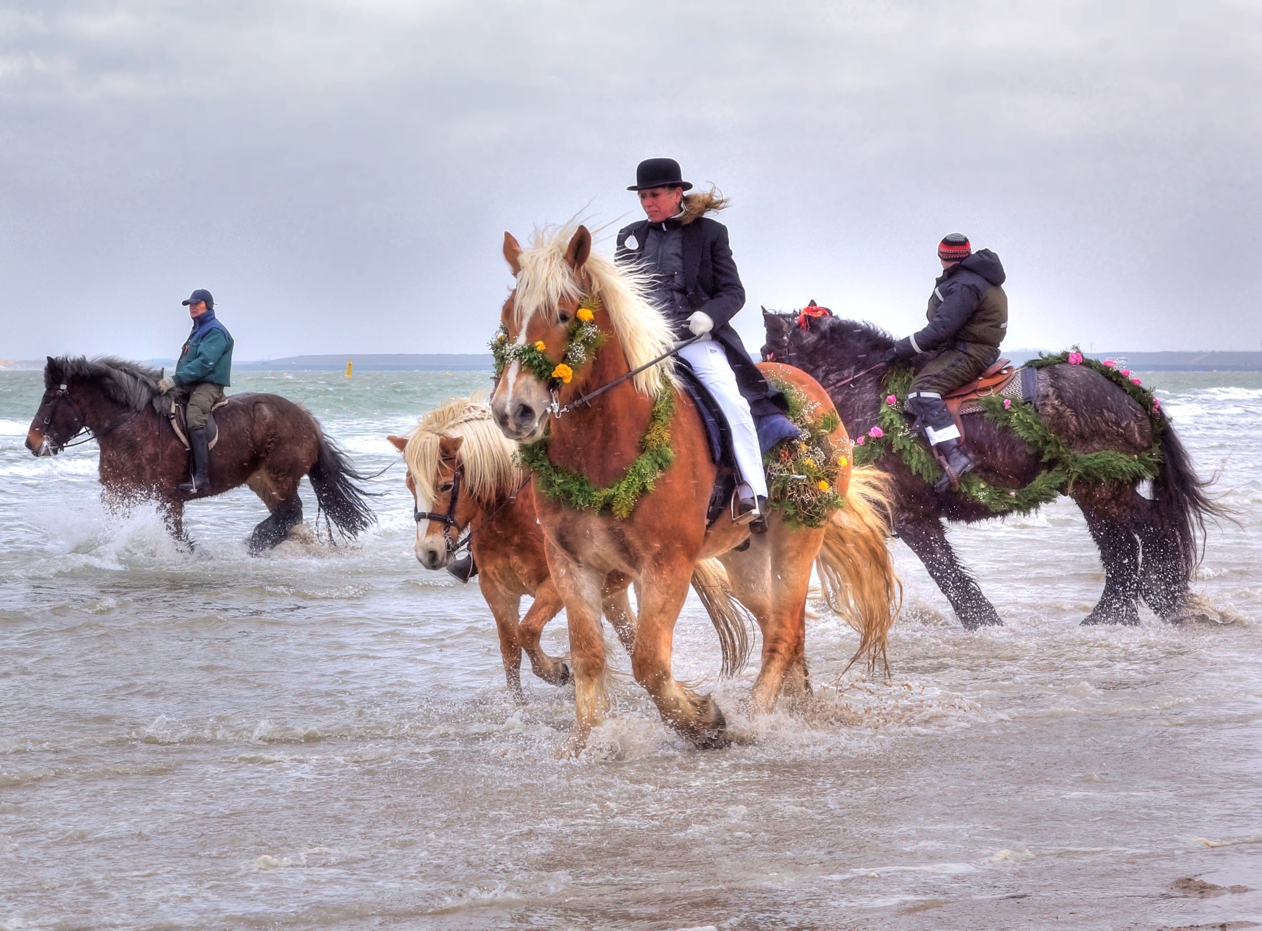 Strao, paarden lopen door de zee om hun voeten te laten wassen. 