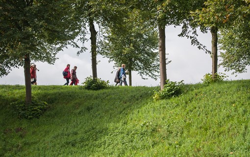 Vestingwallen Hulst groep wandelen