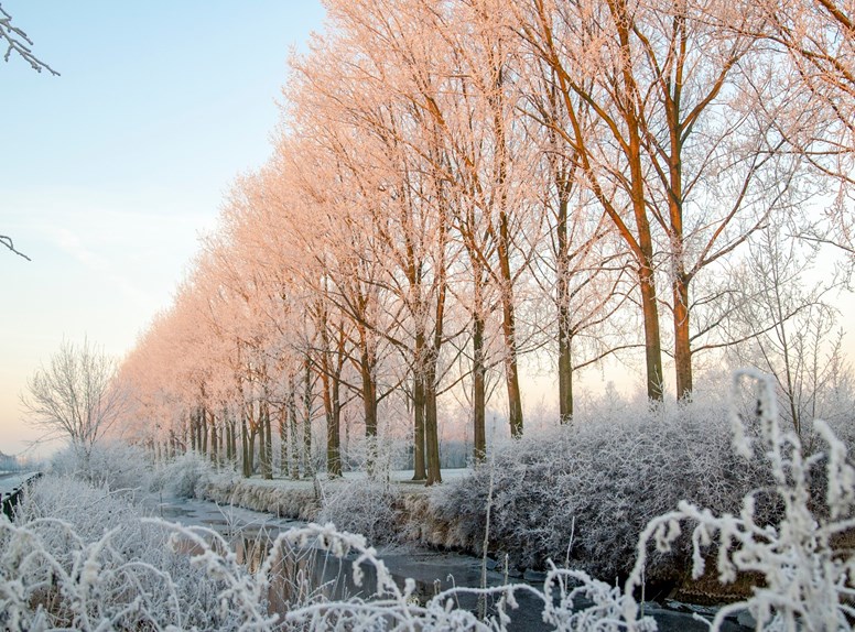 Wandelen in Zeeland, te voet genieten van de Zeeuwse natuur.