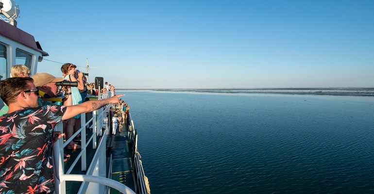 Rondvaarten in Zeeland