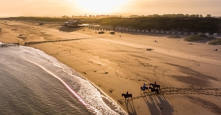 De mooiste stranden van Zeeland. Bekijk hier de Zeeuwse stranden. Geniet van het strand in zeeland