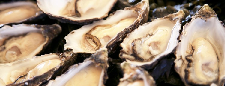 Oesters