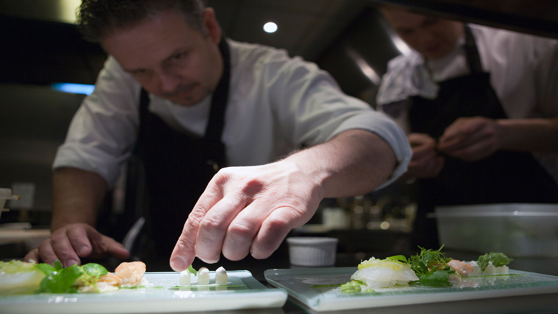 Zilte groenten Zeeland worden gebruikt in haute cuisine