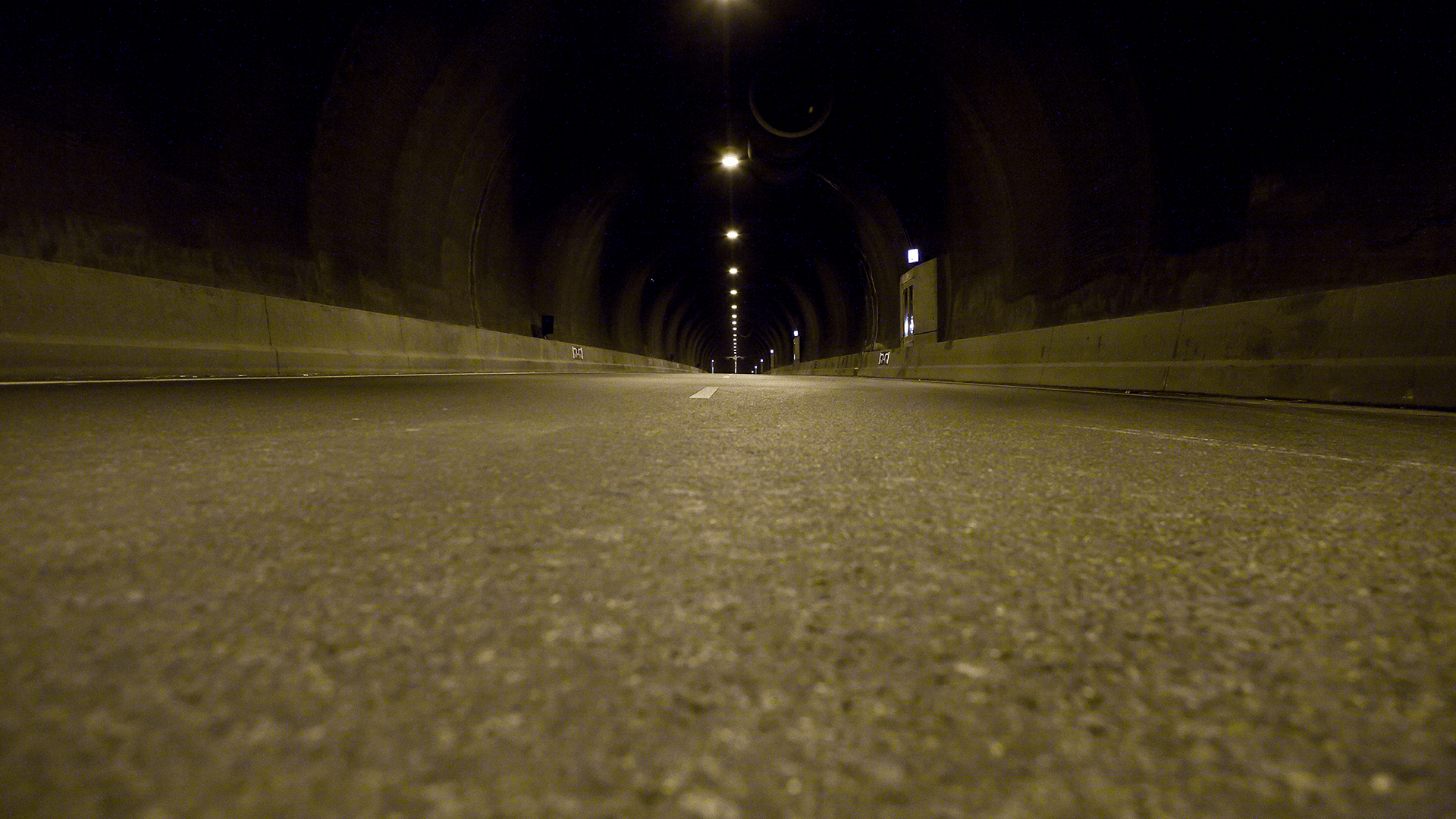 Westerscheldetunnel
