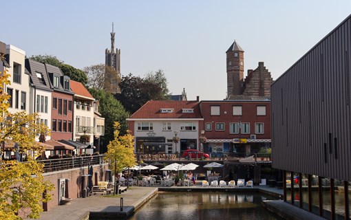 Wat maakt hulst zo bijzonder